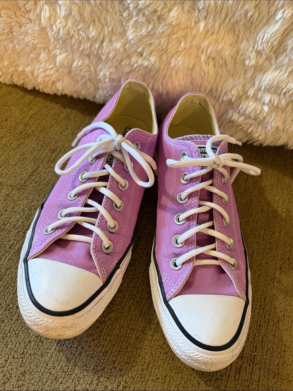 Converse Low Top Canvas Sneakers in Lavender